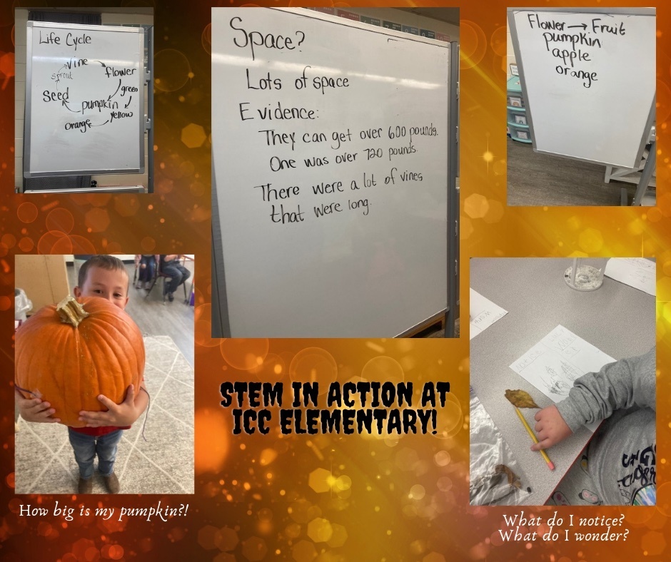 STEM in Action at ICC Elementary